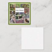 Vogels van Boston Photo Collage Notitiekaartje (Voorkant / Achterkant)