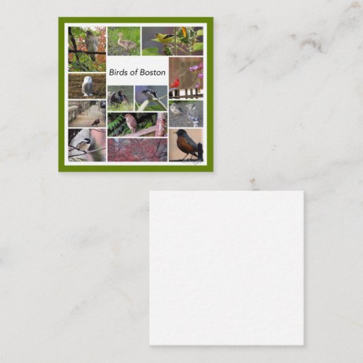 Vogels van Boston Photo Collage Notitiekaartje (Voorkant / Achterkant)