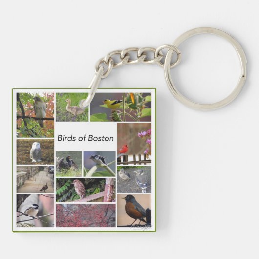 Vogels van Boston Photo Collage Sleutelhanger (Achterkant)