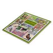 Vogels van Boston Photo Collage Tegeltje (Zijkant)