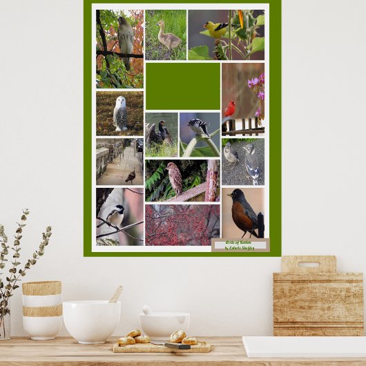 Vogels van Boston Poster (Keuken)