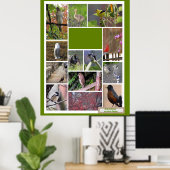 Vogels van Boston Poster (Thuiskantoor)