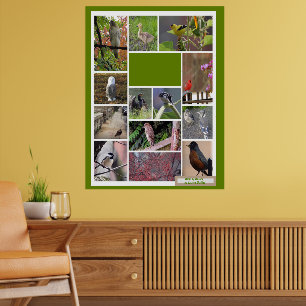 Vogels van Boston Poster