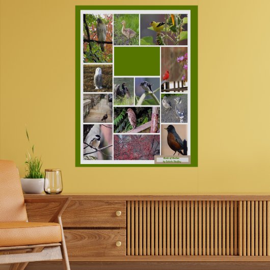 Vogels van Boston Poster (Woonkamer 2)