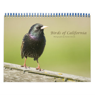 Vogels van Californië Kalender