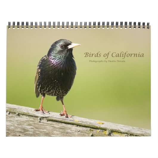Vogels van Californië Kalender (Hoes)