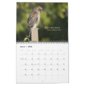 Vogels van Californië Kalender (Mar 2026)