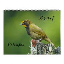 Vogels van Colombia