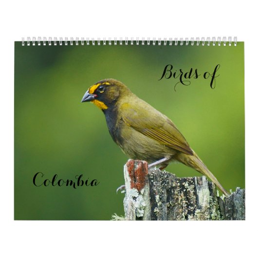 Vogels van Colombia Kalender (Hoes)