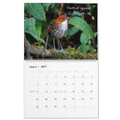 Vogels van Colombia Kalender (Mar 2027)
