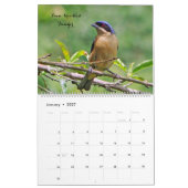 Vogels van Colombia Kalender (Jan 2027)