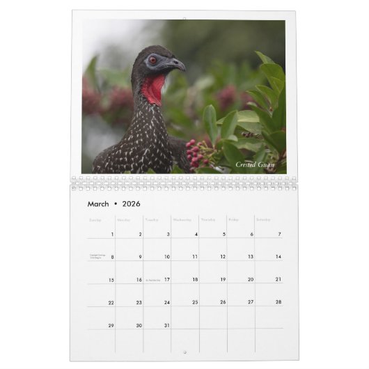 Vogels van Costa Rica Kalender (Mar 2026)