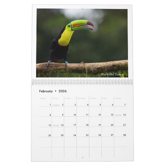 Vogels van Costa Rica Kalender (Feb 2026)