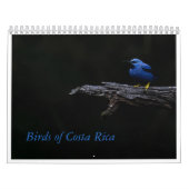 Vogels van Costa Rica Kalender (Hoes)