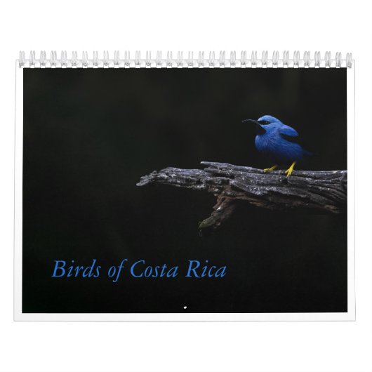 Vogels van Costa Rica Kalender (Hoes)