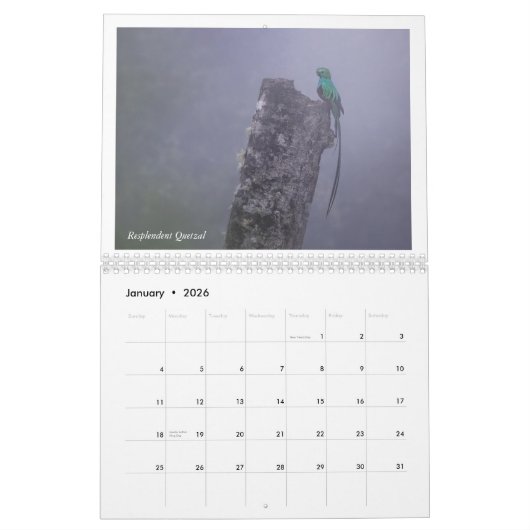 Vogels van Costa Rica Kalender (Jan 2026)