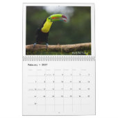 Vogels van Costa Rica Kalender (Feb 2027)