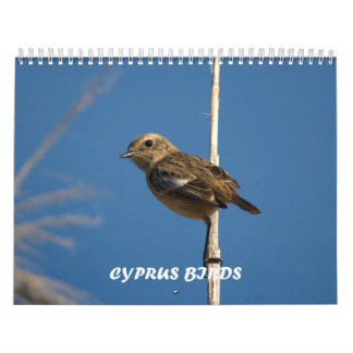 Vogels van Cyprus kalender