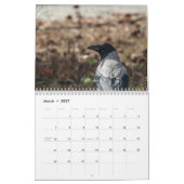 Vogels van Cyprus kalender (Mar 2027)