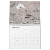 Vogels van Cyprus kalender (Jan 2027)