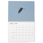 Vogels van Cyprus kalender (Feb 2027)