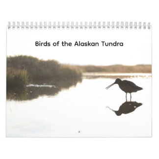Vogels van de Alaskaanse Toendra Kalender
