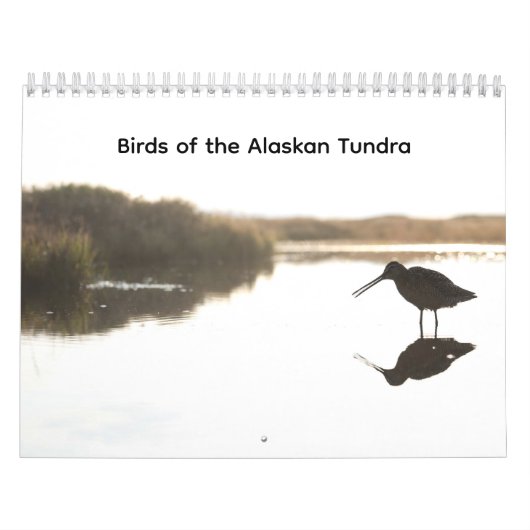 Vogels van de Alaskaanse Toendra Kalender (Hoes)