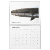 Vogels van de Alaskaanse Toendra Kalender (Jan 2027)