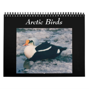 vogels van de Arctic Photo Calendar Alaska Kalender