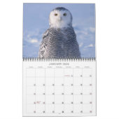 vogels van de Arctic Photo Calendar Alaska Kalender (Jan 2026)