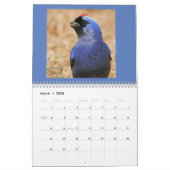 Vogels van de Atlantische boskalender van Brazilië Kalender (Mar 2026)