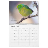 Vogels van de Atlantische boskalender van Brazilië Kalender (Feb 2026)
