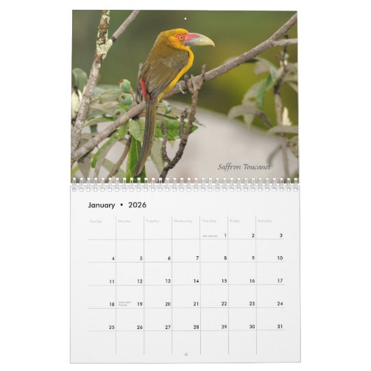 Vogels van de Atlantische boskalender van Brazilië Kalender (Jan 2026)