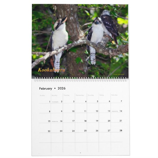 vogels van de Australische Struik Kalender (Feb 2026)
