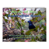 vogels van de Australische Struik Kalender (Hoes)