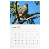 vogels van de Australische Struik Kalender (Jan 2026)