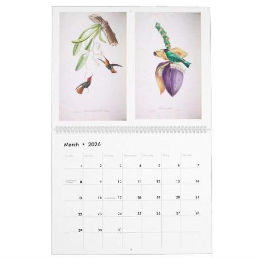  vogels van de Braziliaanse wandkalender Kalender (Mar 2026)