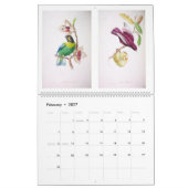  vogels van de Braziliaanse wandkalender Kalender (Feb 2027)