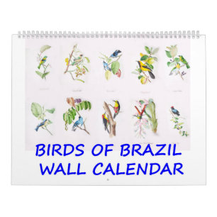  vogels van de Braziliaanse wandkalender Kalender