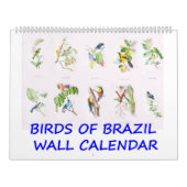  vogels van de Braziliaanse wandkalender Kalender (Hoes)