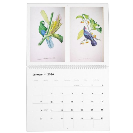  vogels van de Braziliaanse wandkalender Kalender (Jan 2026)