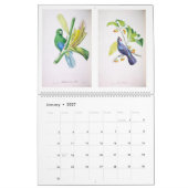  vogels van de Braziliaanse wandkalender Kalender (Jan 2027)
