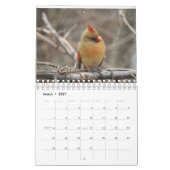 Vogels van de Carolinas Kalender (Mar 2027)