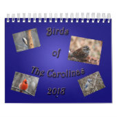 Vogels van de Carolinas Kalender (Hoes)