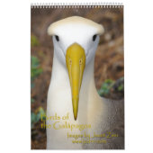 Vogels van de Galapagos-kalender Kalender (Hoes)