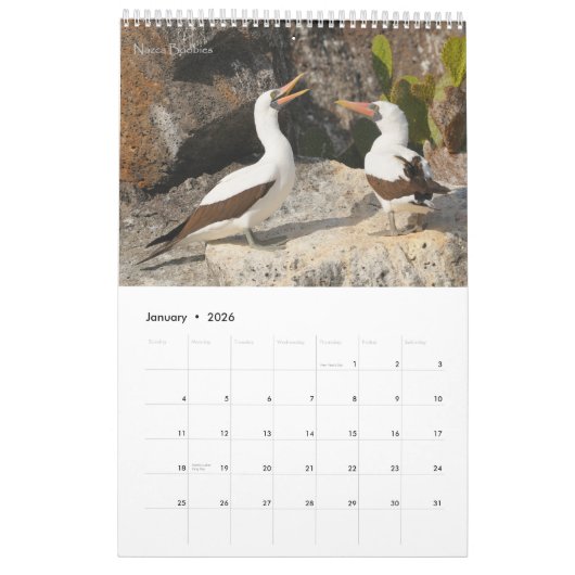 Vogels van de Galapagos-kalender Kalender (Jan 2026)