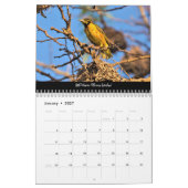 Vogels van de Gambiaanse kalender (Jan 2027)