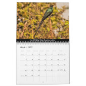 Vogels van de Gambiaanse kalender (Mar 2027)