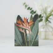 Vogels van de kunst van het Paradijs Briefkaart (Staand voorkant)