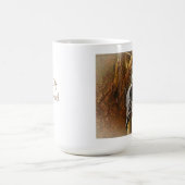 Vogels van de Mok Killingworth (Center)